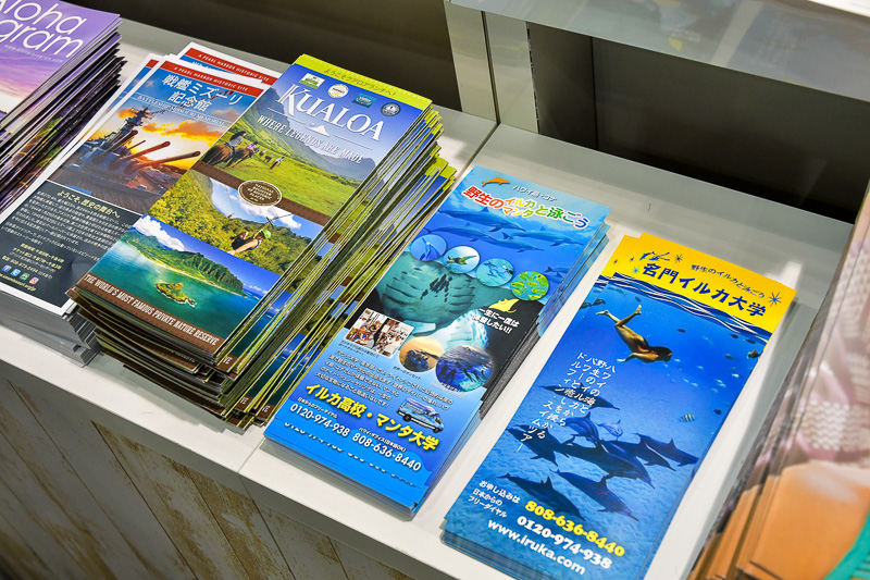 アクティビティや施設のパンフレットまである