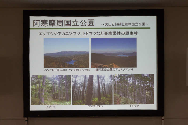 エゾマツやトドマツなどの亜寒帯性の原生林が広がる