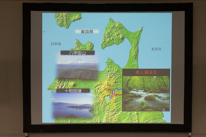 十和田湖の近くにある奥入瀬渓流