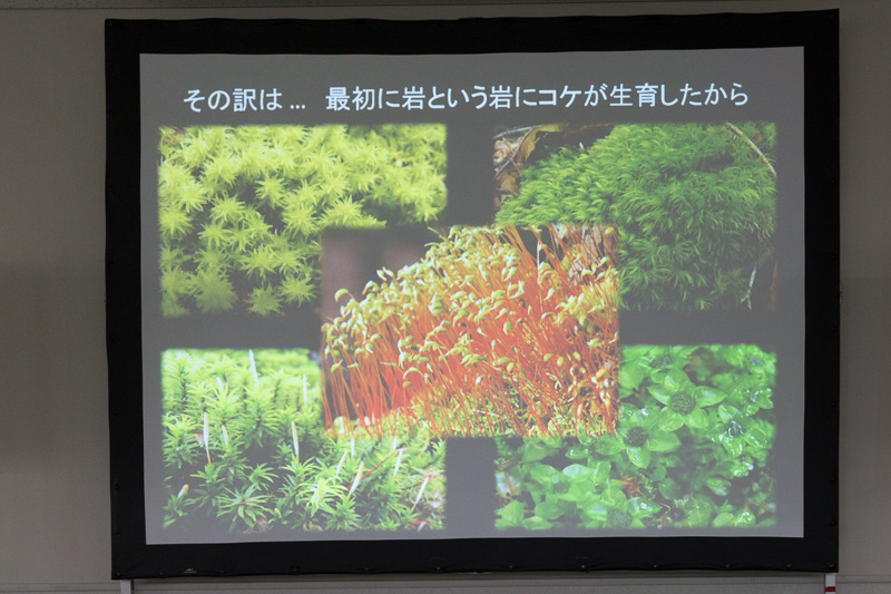 コケが生み出した景観は非常に美しく、そのコケに着目した「コケさんぽ」は2016年エコツーリズム大賞特別賞を受賞している