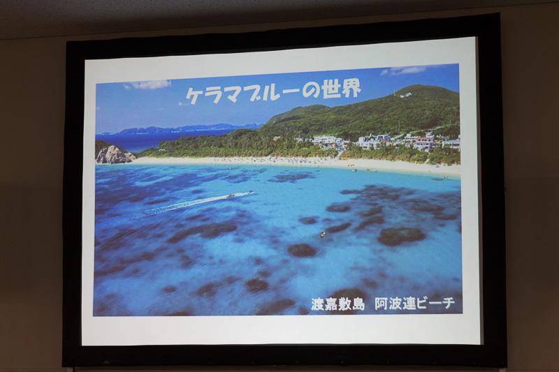 海水浴客に人気の阿波連ビーチ