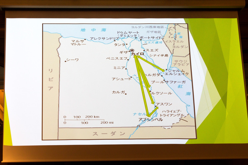 エジプトのフラグキャリアであり、国内線が充実している点をアピール