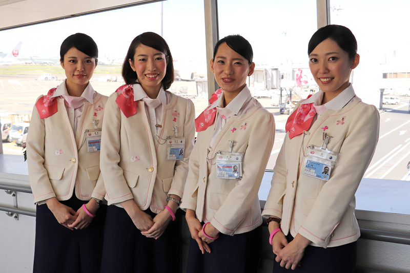 CA（客室乗務員）はピンクのスカーフを着用。グランドスタッフも、イメージカラーに合わせてピンクを多く用いたサクララウンジの制服を着用