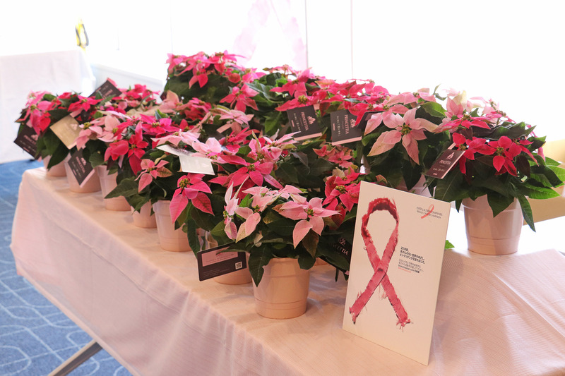 サントリーフラワーズ提供の「プリンセチア」の鉢植え