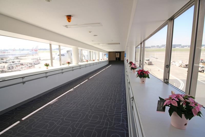 ブリッジもプリンセチアで明るく飾り付けされていた