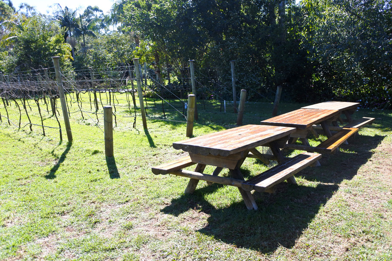 テーブルや芝生に座ってのピクニックスタイルでテイスティングできる