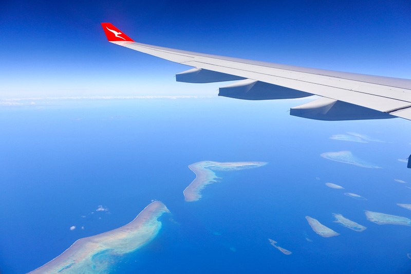 グレートバリアリーフの珊瑚礁を上から鑑賞。カクレクマノミやナンヨウハギが住んでいるのはここなのだとうれしくなった