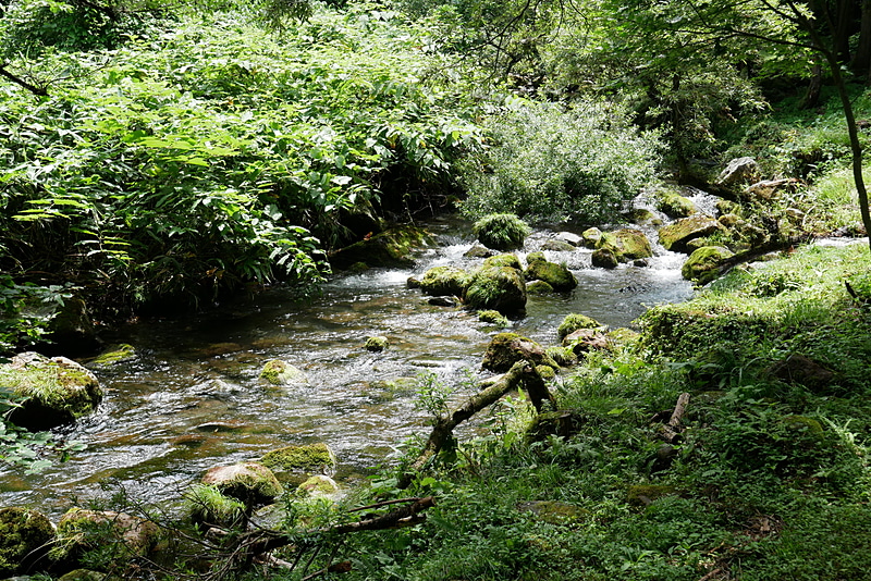 途中から川のそばを歩くことになる。冷たい水が流れ、特に夏場は非常に気持ちがいい