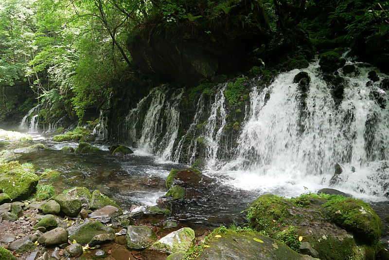 冷たい伏流水の水しぶきで付近一帯が冷やされ、夏でも寒いぐらいの涼しさだ
