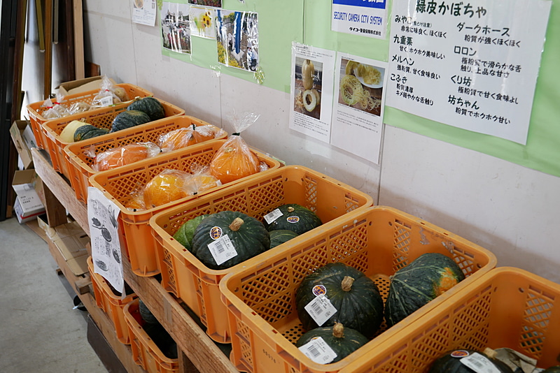 周辺の農家が、毎日取れたての野菜を販売。新鮮さはもちろん、安さも大きな魅力だ