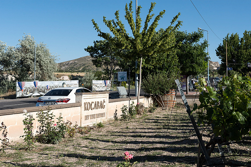 隣にぶどう畑が敷設されている