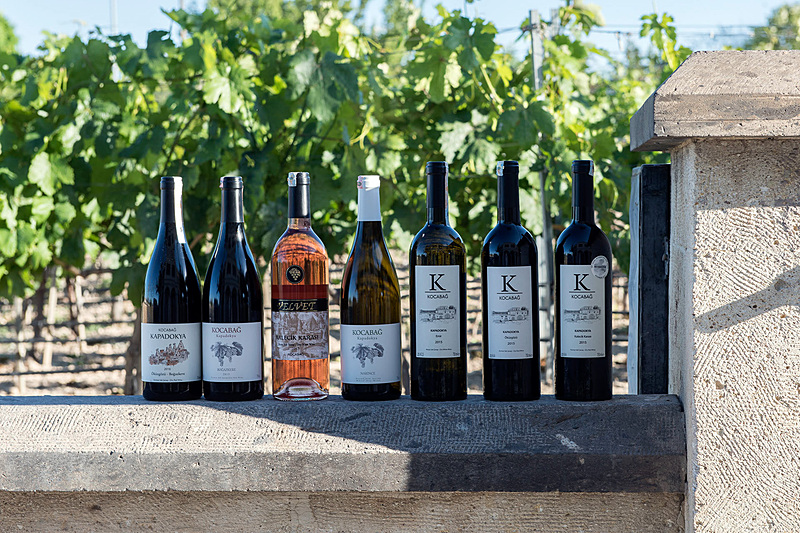 ぶどう畑の囲いにトルコ品種のワインを並べて