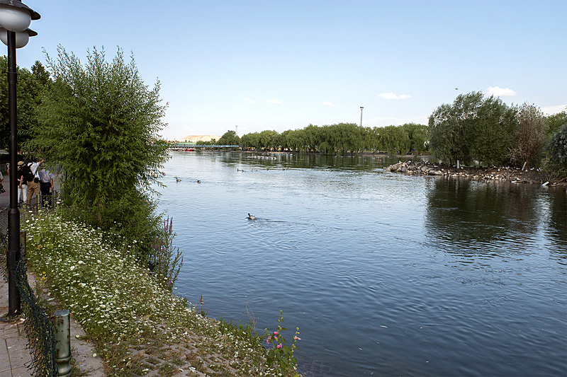 川沿いの木々の雰囲気がよい