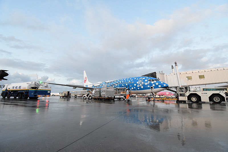 エプロンで見る新ジンベエジェット