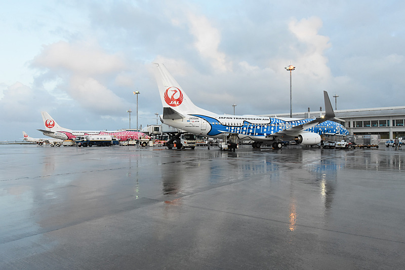 ジンベエザメの絵柄がよく分かる横から