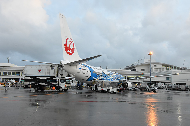 エプロンで見る新ジンベエジェット