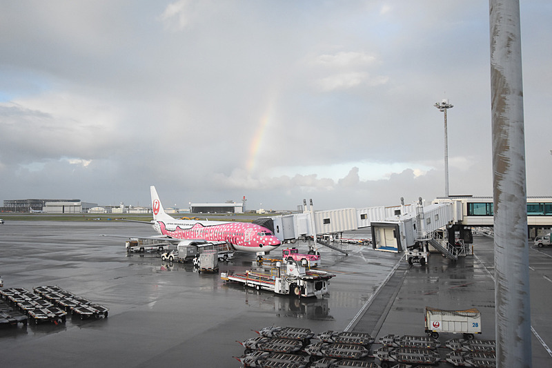 21番スポットのボーディングブリッジから隣のさくらジンベエを見たところ。肉眼ではもっと鮮やかだったが、ちょうど虹が架かっていた