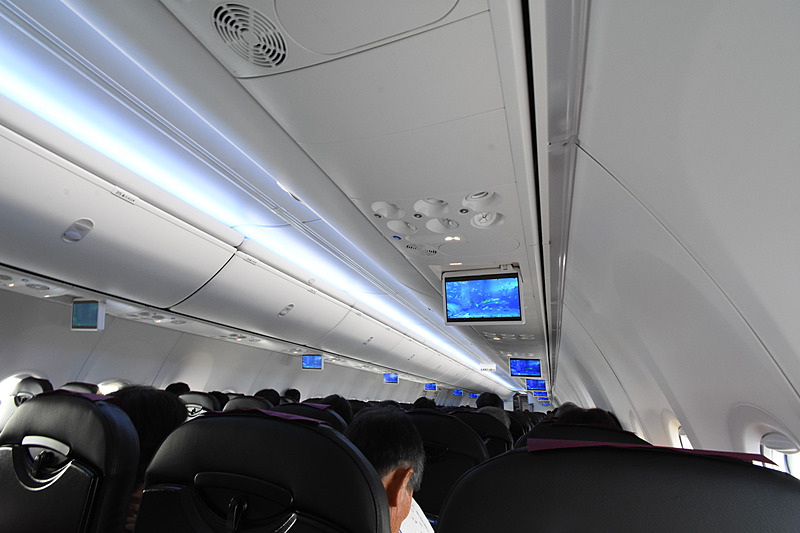 機内の様子。ヘッドレストのカバーにはイソギンチャクとカクレクマノミが描かれていた