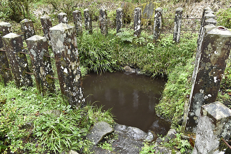本殿の脇にある泉は、熊本地震をきっかけに再び水が湧き出した