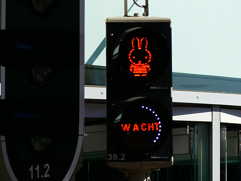 信号をよく見て渡りましょう