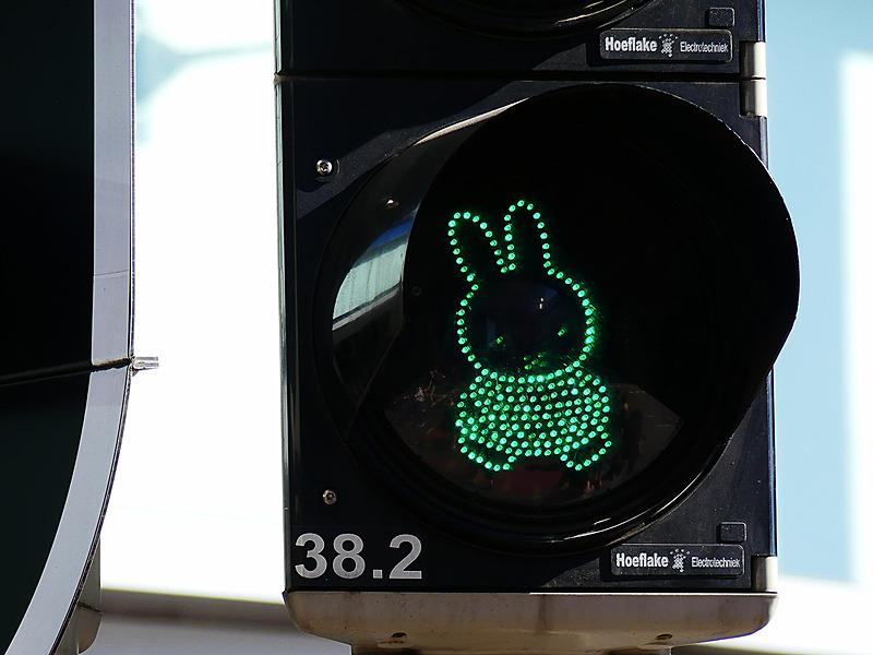 信号をよく見て渡りましょう