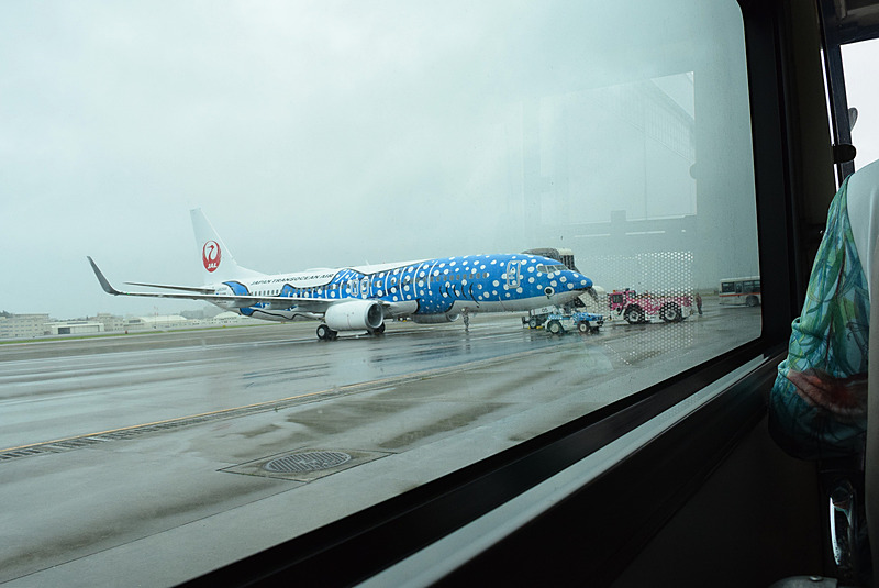 バスの車窓から新ジンベエジェットが見えてきた！