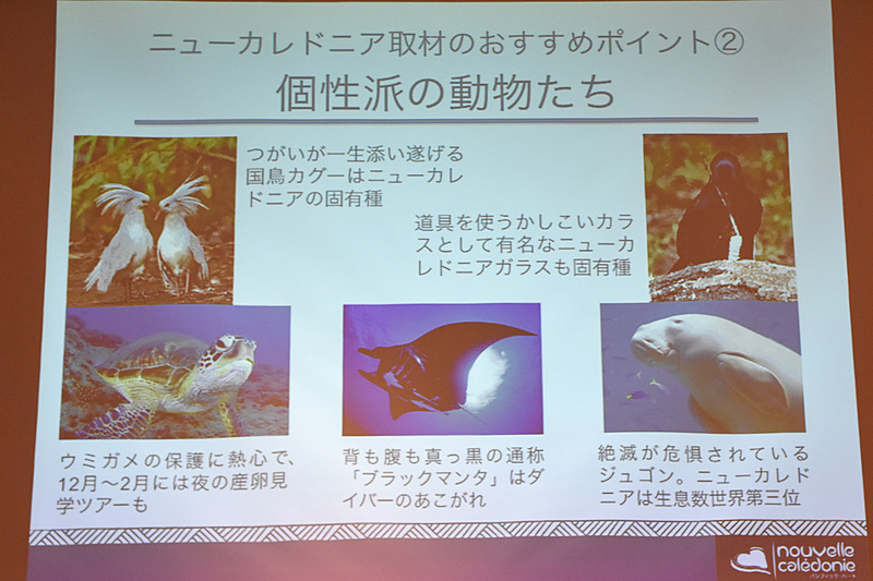 ヴォーのハートに代表される絶景が見物