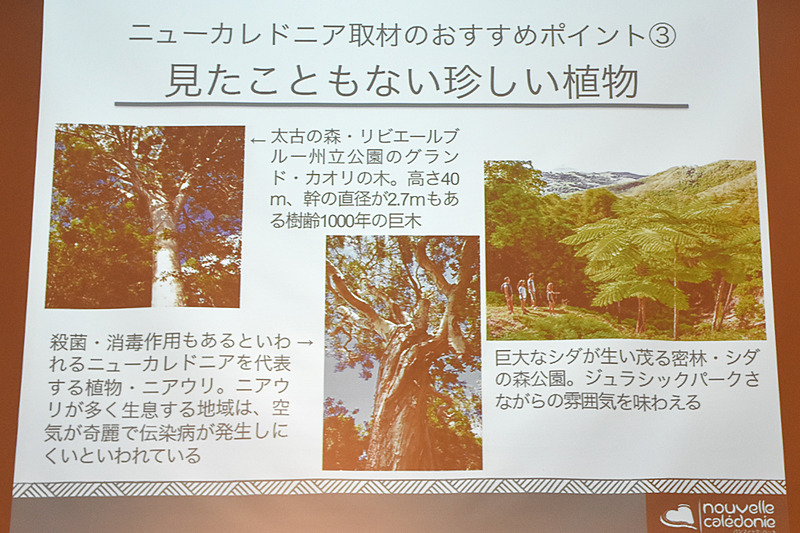 ヴォーのハートに代表される絶景が見物