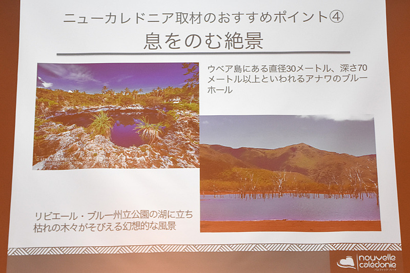 ヴォーのハートに代表される絶景が見物