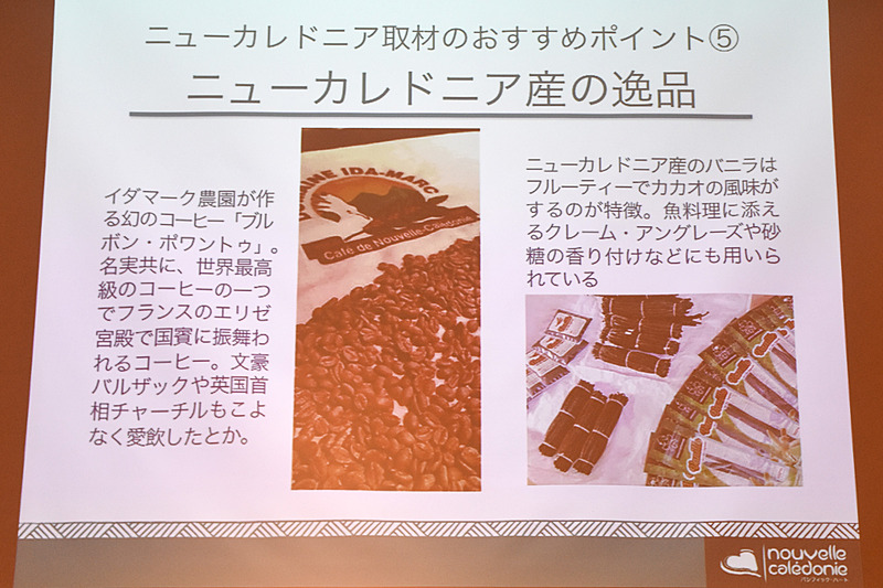 郷土料理や伝統建築など、メラネシア文化を体験することもできる