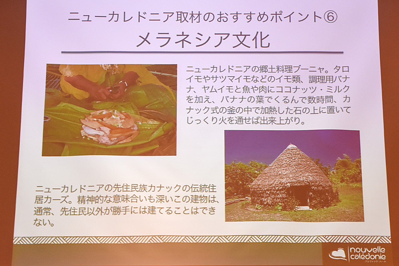 郷土料理や伝統建築など、メラネシア文化を体験することもできる
