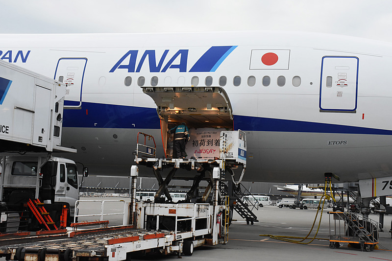 パレットドーリーに積み荷を降ろす