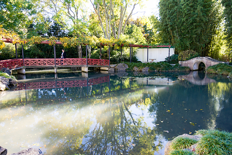 かなりの広さがある中国庭園。赤い橋はニュージーランドと中国の友好の架け橋をイメージしているという。また、桜の花びらをイメージした床の石畳は1カ所だけ石の色を変えて「人間の不完全さ」を演出しているそうだ