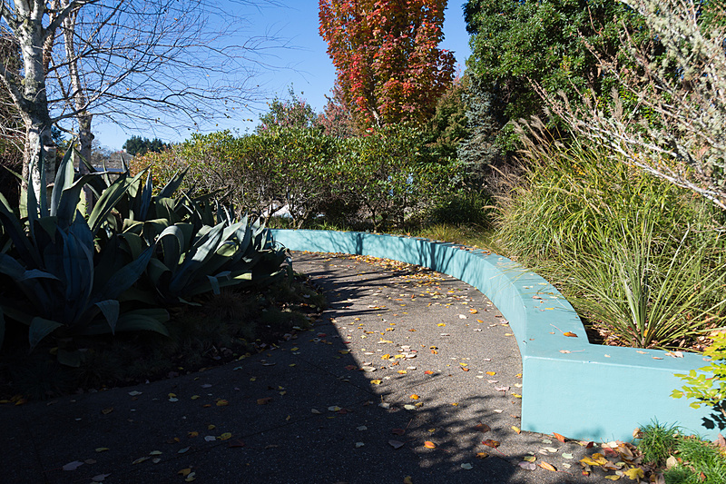 「Modernist Garden」と名付けられた20世紀のアメリカをテーマにした庭園。プールや花壇の湾曲は米西海岸をイメージしているという