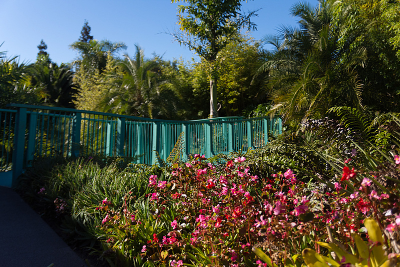 熱帯の草木を集めた「トロピカル・ガーデン（Tropical Garden）」。冬のある土地だけに、温水をかける設備などを整えている