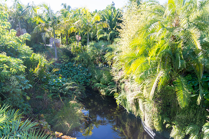 熱帯の草木を集めた「トロピカル・ガーデン（Tropical Garden）」。冬のある土地だけに、温水をかける設備などを整えている