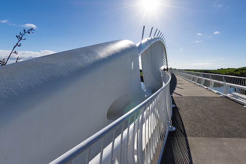 タラナキ山が隠れていたのは残念ではあるのだが、生き物の骨格のような肋骨を感じさせる対角線アーチを描いた上部構造物だけでも見る価値があると思うほど面白い形だ