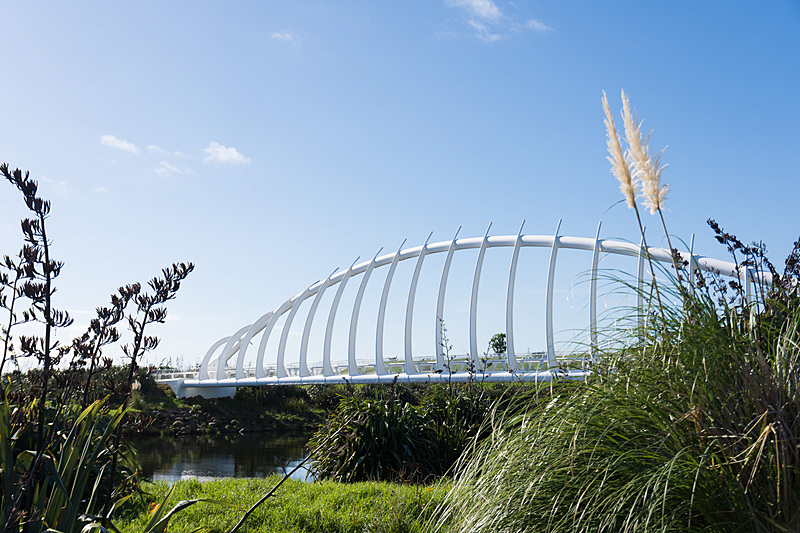タラナキ山が隠れていたのは残念ではあるのだが、生き物の骨格のような肋骨を感じさせる対角線アーチを描いた上部構造物だけでも見る価値があると思うほど面白い形だ