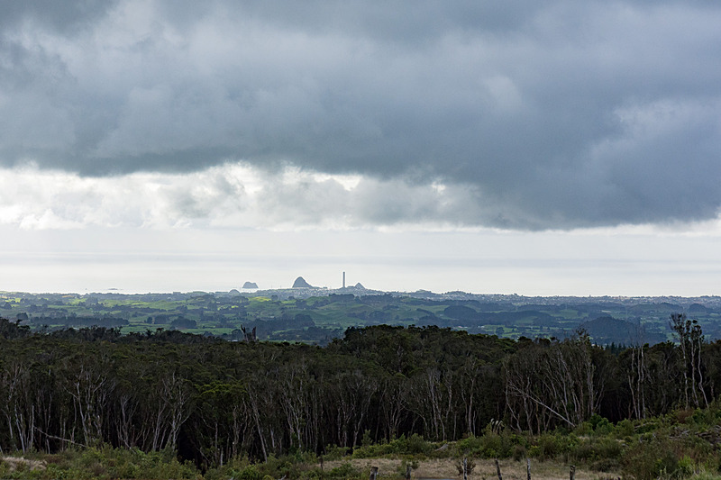 この付近からニュー・プリマスを見る。かなり高い場所まで来ていると気付く