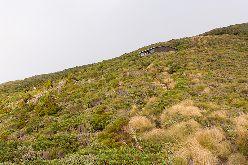 2時間ほどかけて、ようやくポウアカイ・ハット（Pouakai Hut）に到着