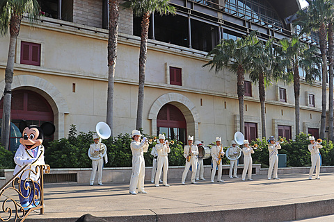 東京ディズニーシーの幻想的なクリスマスの夜を楽しもう！ 輝くツリー