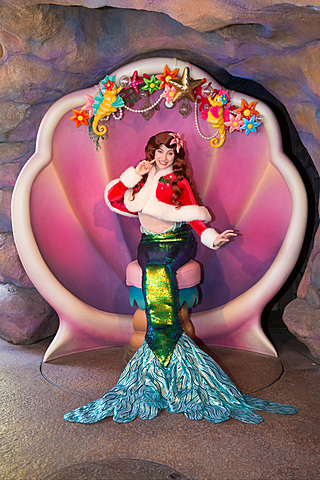 東京ディズニーシーの幻想的なクリスマスの夜を楽しもう！ 輝くツリー