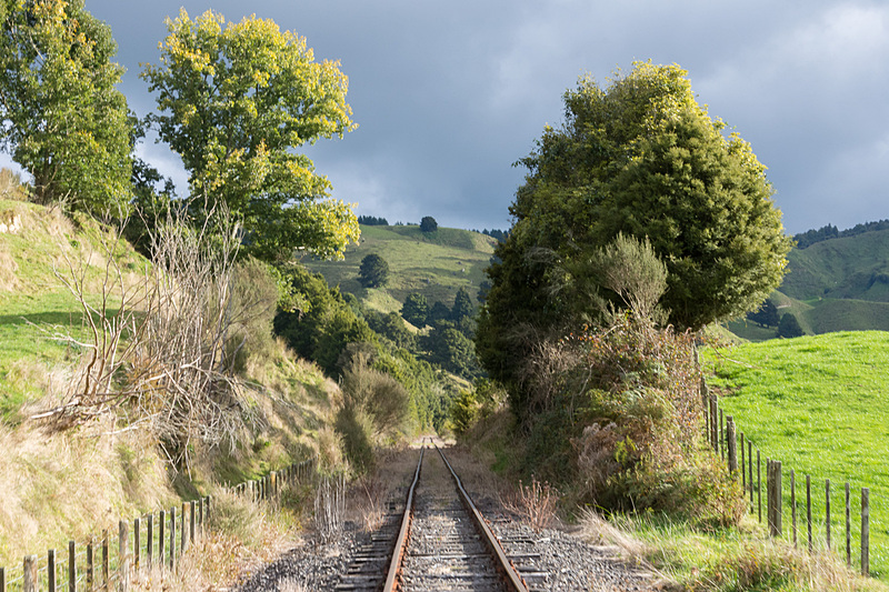 廃線感がたまらない線路