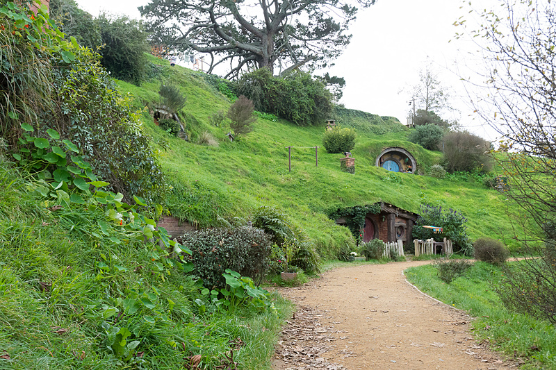 とにかく撮りまくった写真の一部。フォトジェニックなスポットばかりで、途中から何も考えずひたすら写真を撮りまくっていた感じ