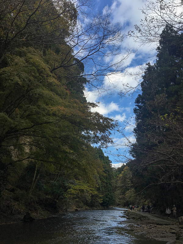 木々の間に見える空。最高!!