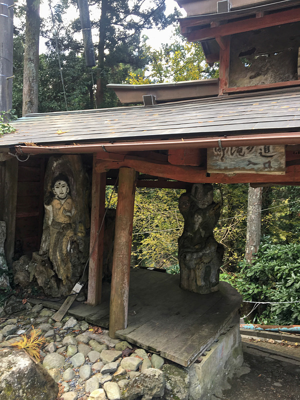 木に絵が描いてあります