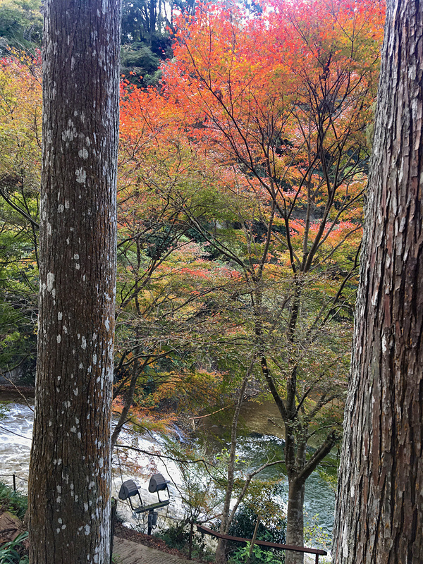 粟又の滝と紅葉