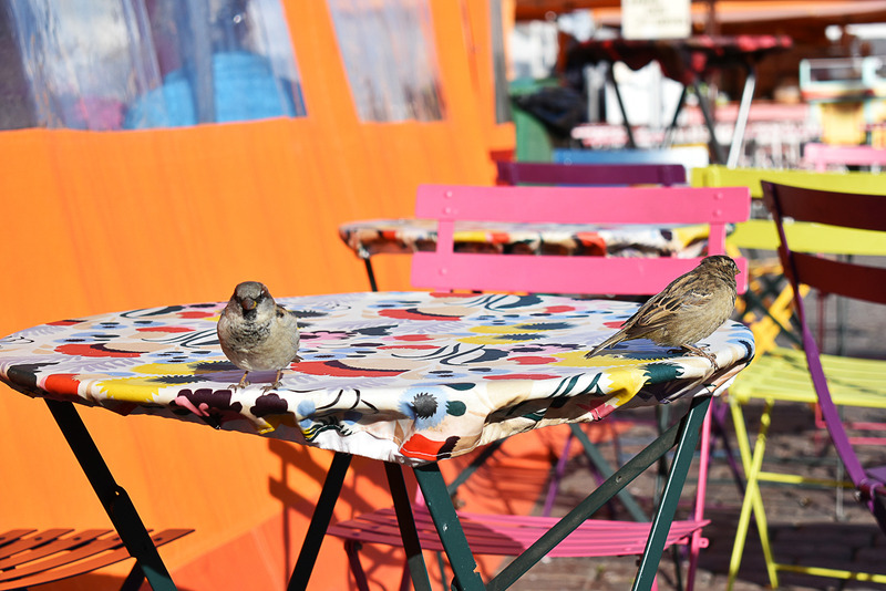 可愛いテーブルクロスにキッチュなイスのカフェ発見