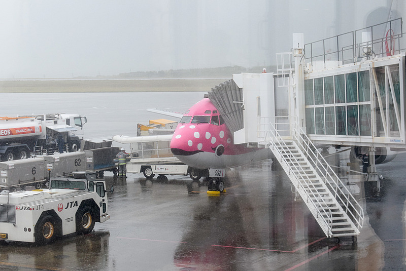 ちなみに筆者が新石垣空港へと向かった際の搭乗機はサクラジンベエだった