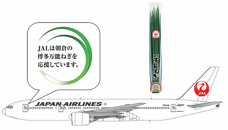 「博多万能ねぎ」を応援するデカールを貼った特別機（画像提供：JAL）